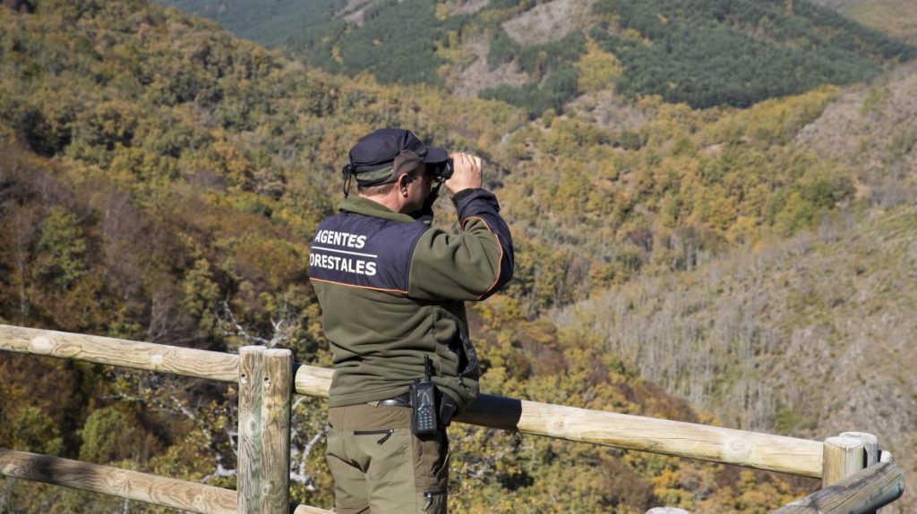 Guía completa para oposiciones forestales