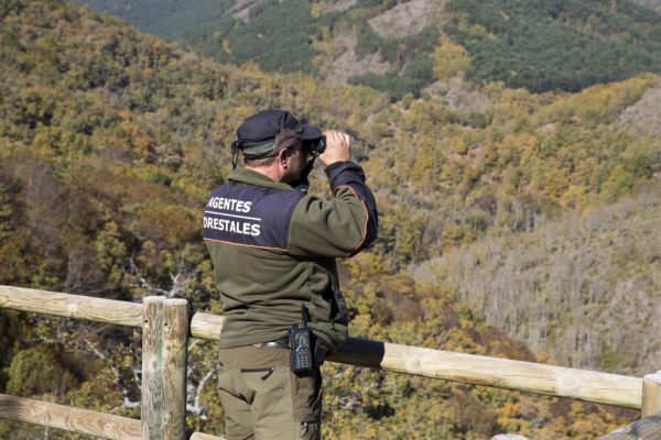 Guía completa para oposiciones forestales